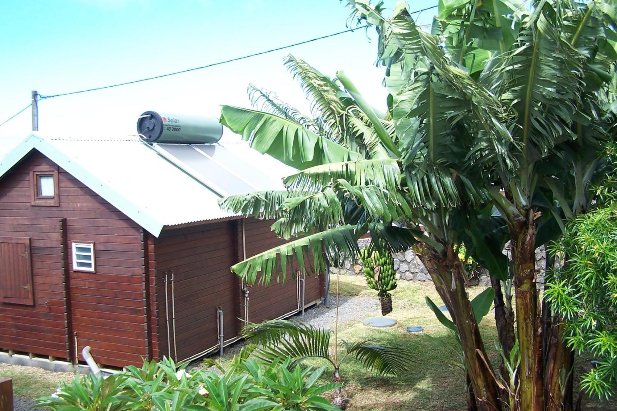 סיינט ג'וזף Les Bungalows Les Vanilliers, Sud Sauvage Avec Piscine חדר תמונה