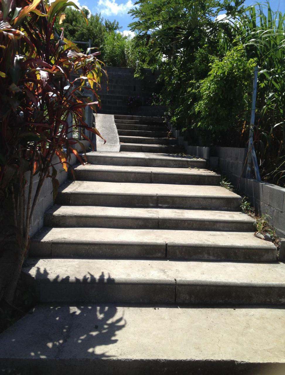 סיינט ג'וזף Les Bungalows Les Vanilliers, Sud Sauvage Avec Piscine מראה חיצוני תמונה